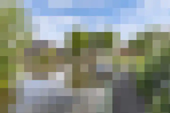 Paradyske 7 Herbaijum thumbnail 50