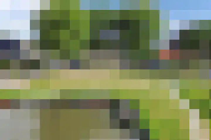 Paradyske 7 Herbaijum thumbnail 52