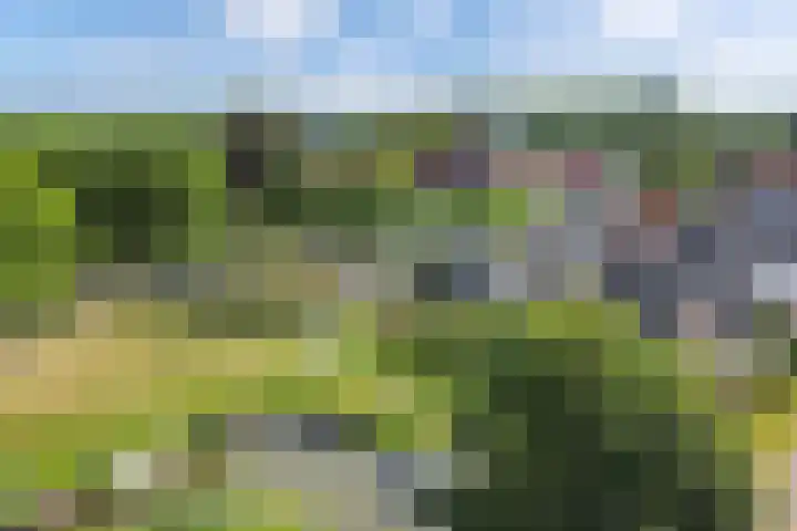 Paradyske 7 Herbaijum thumbnail 53