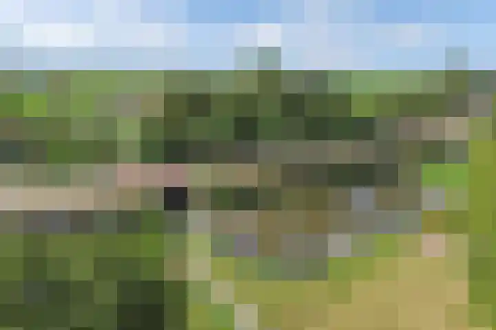 Paradyske 7 Herbaijum thumbnail 54