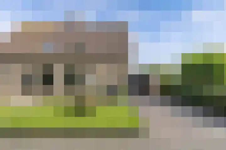 Paradyske 7 Herbaijum thumbnail 6