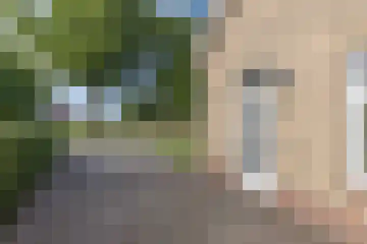 Paradyske 7 Herbaijum thumbnail 7