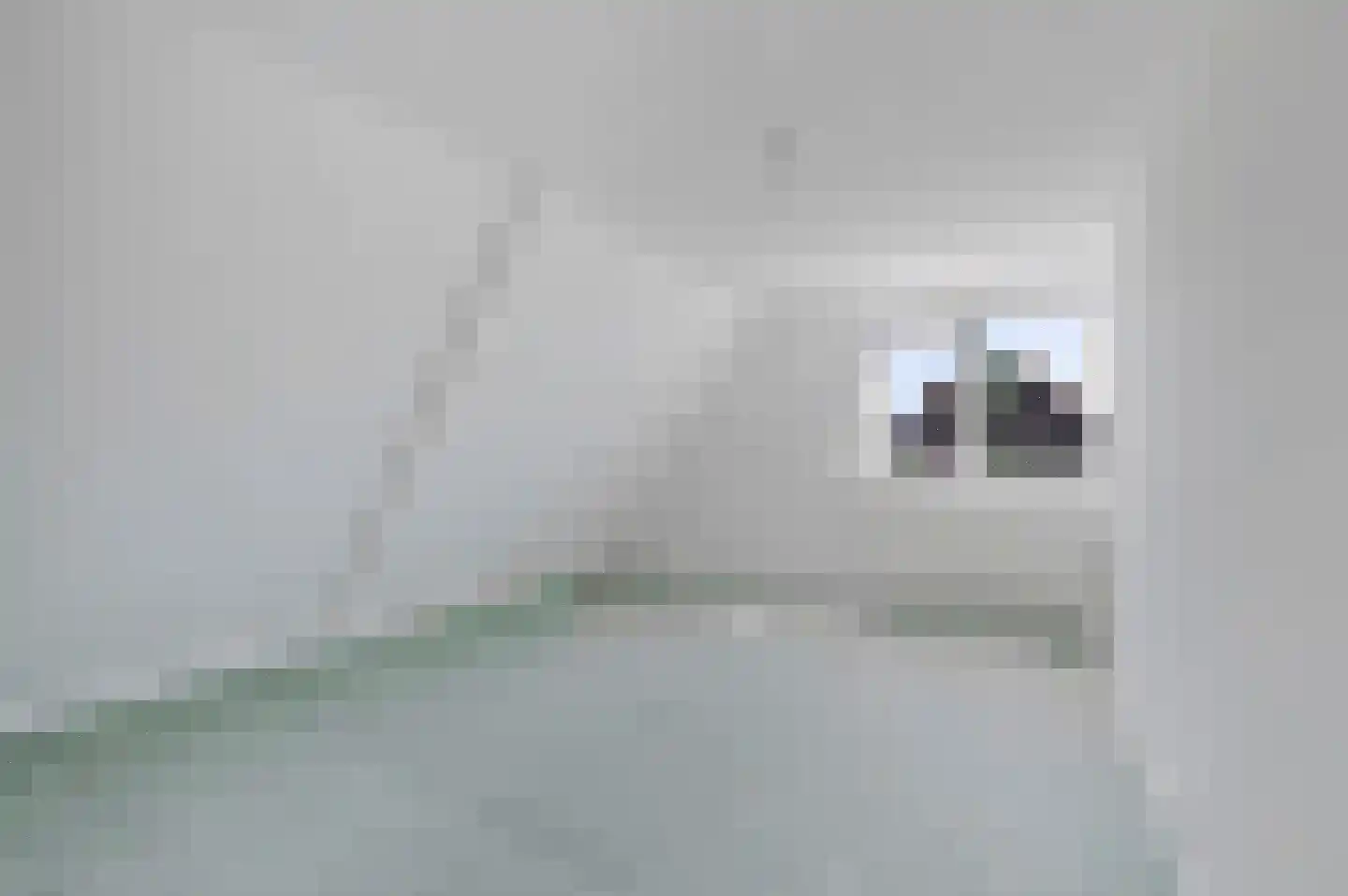 Parallelstraat 1 Grou thumbnail 21