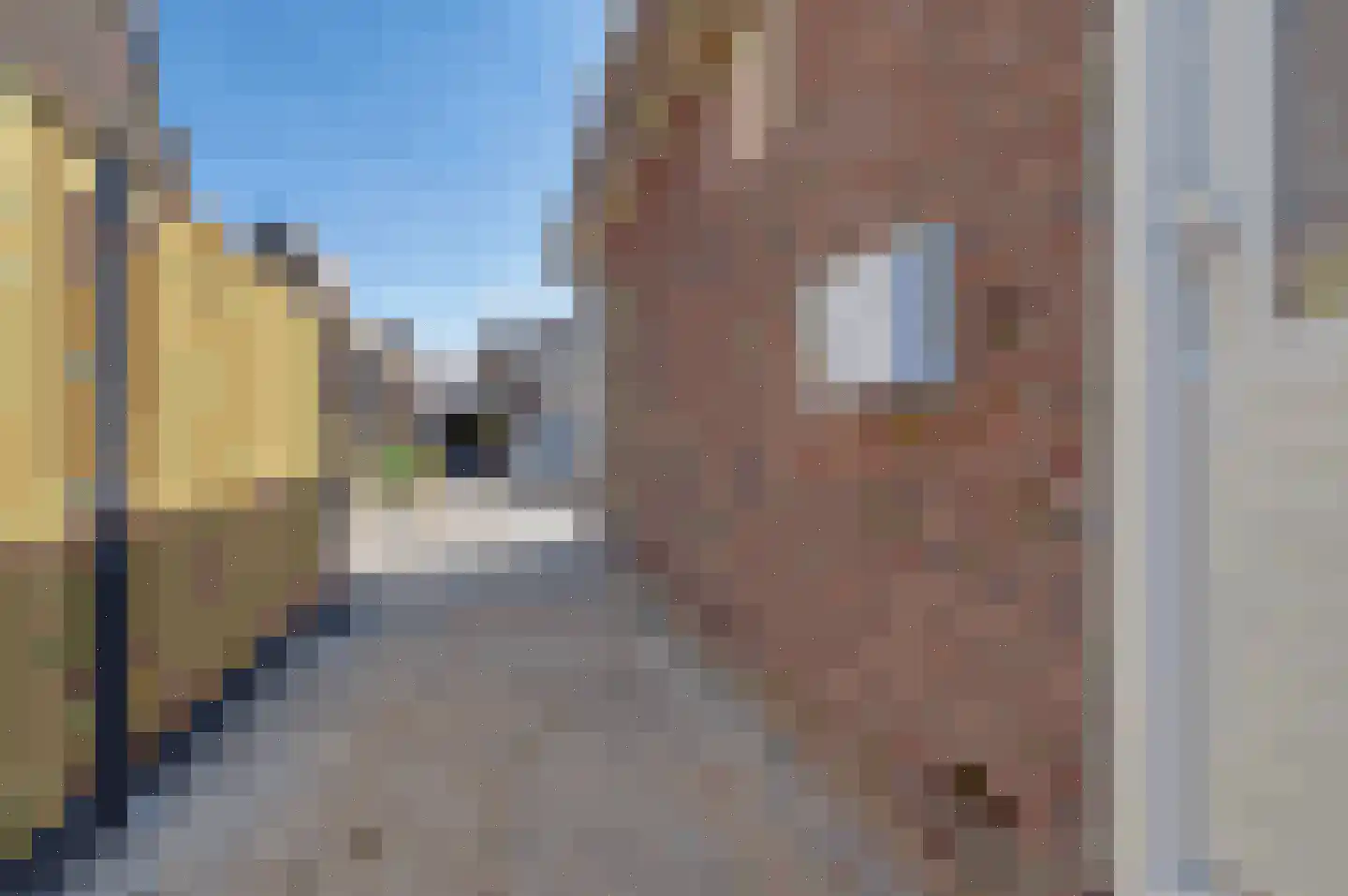 Parallelstraat 1 Grou thumbnail 37