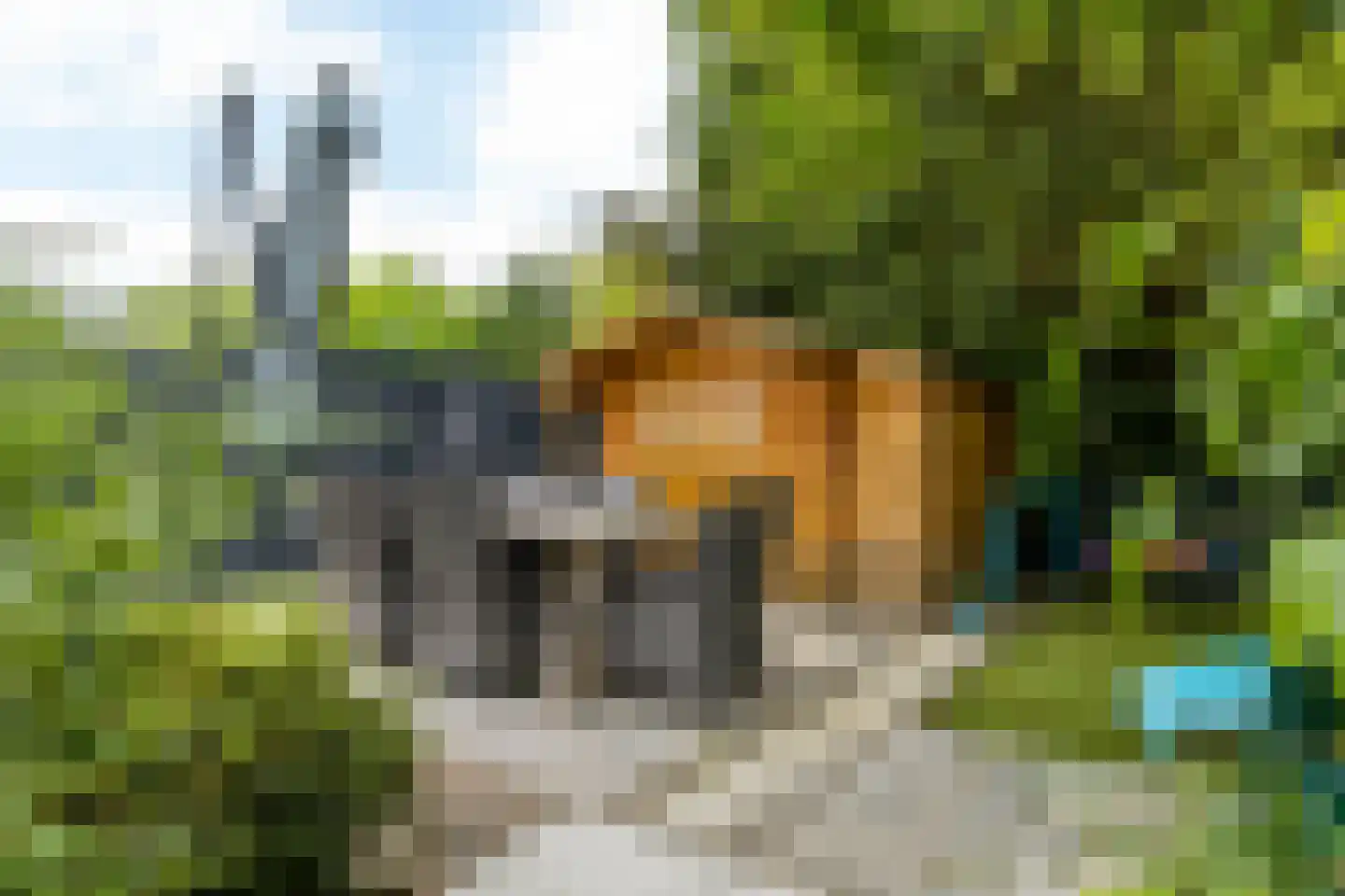 Parallelstraat 10 A Amstenrade thumbnail 5