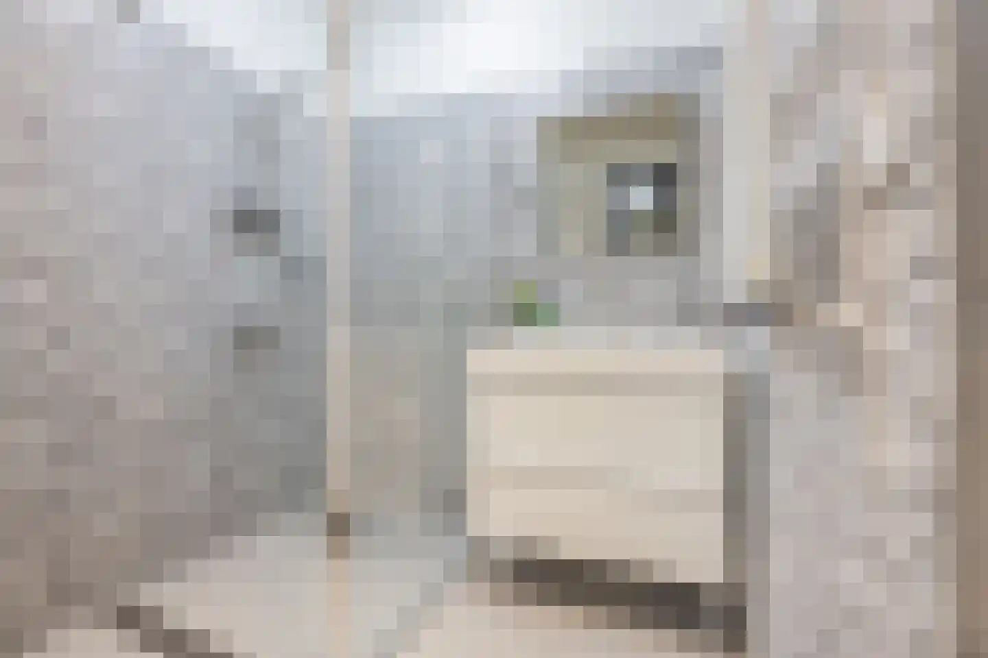 Parallelstraat 10 B Rotterdam thumbnail 21