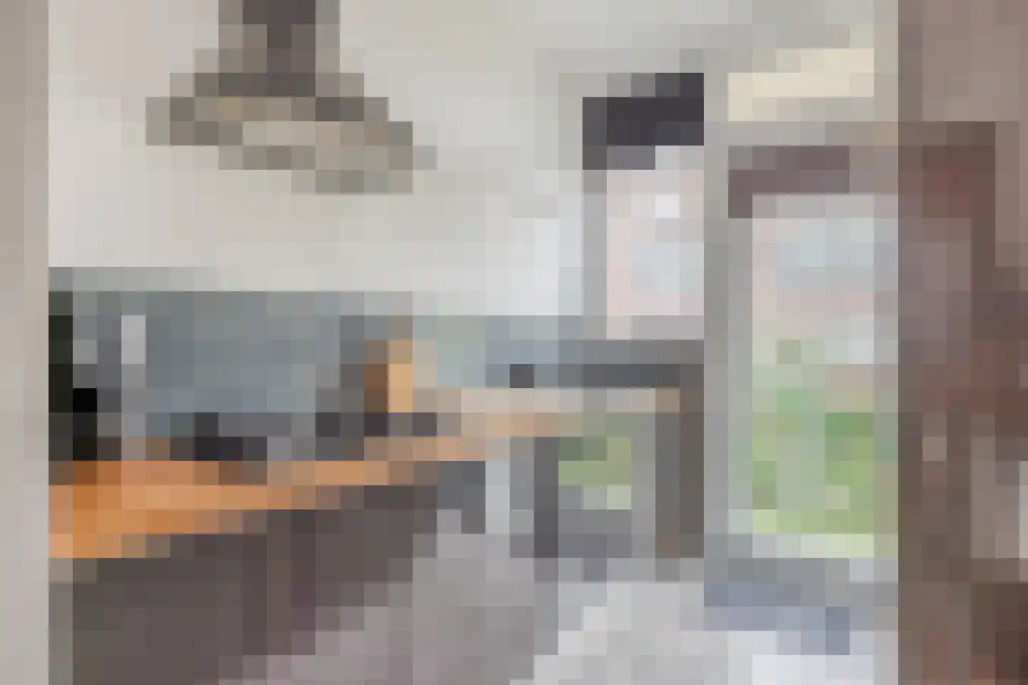 Parallelstraat 10 B Rotterdam thumbnail 6