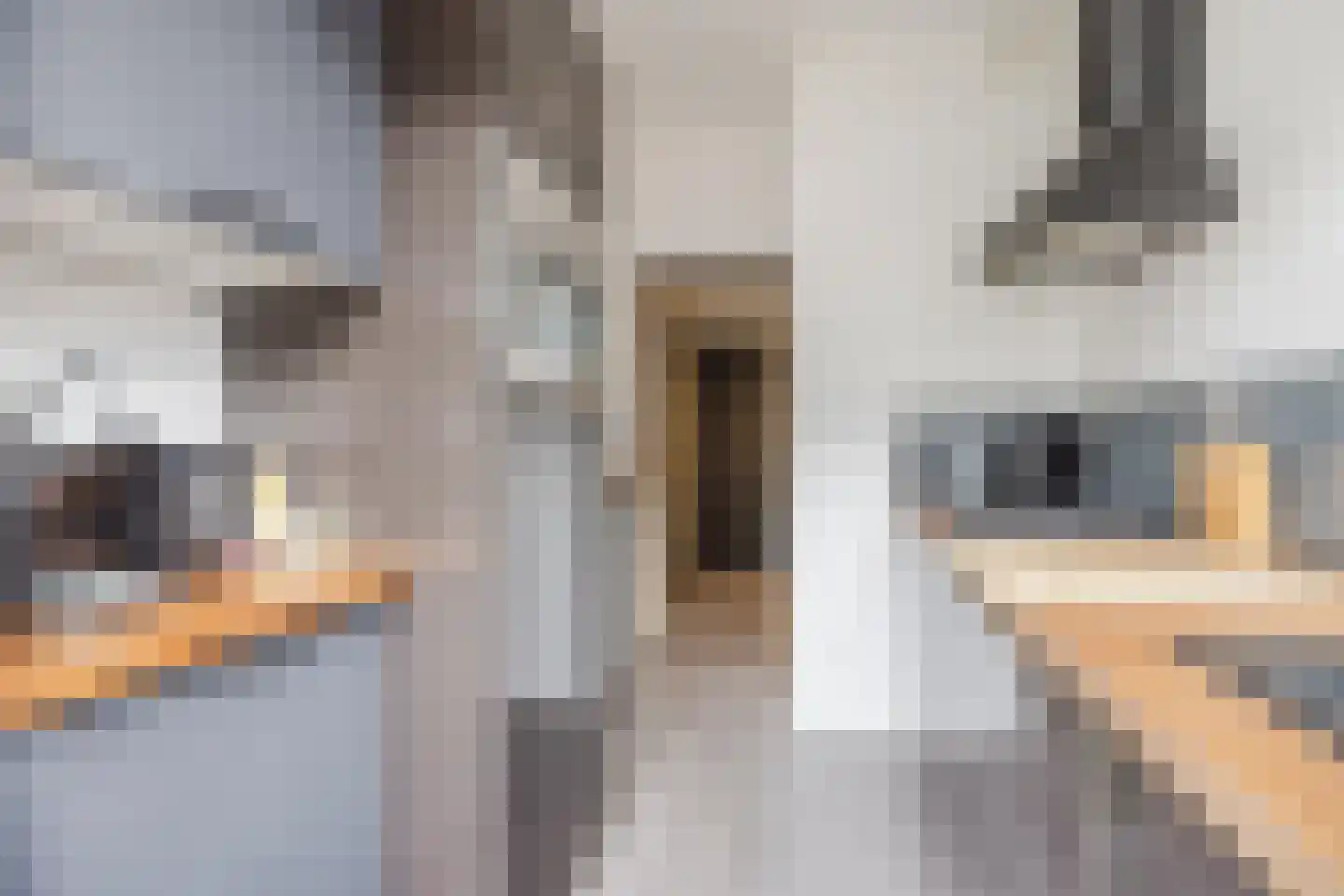 Parallelstraat 10 B Rotterdam thumbnail 8