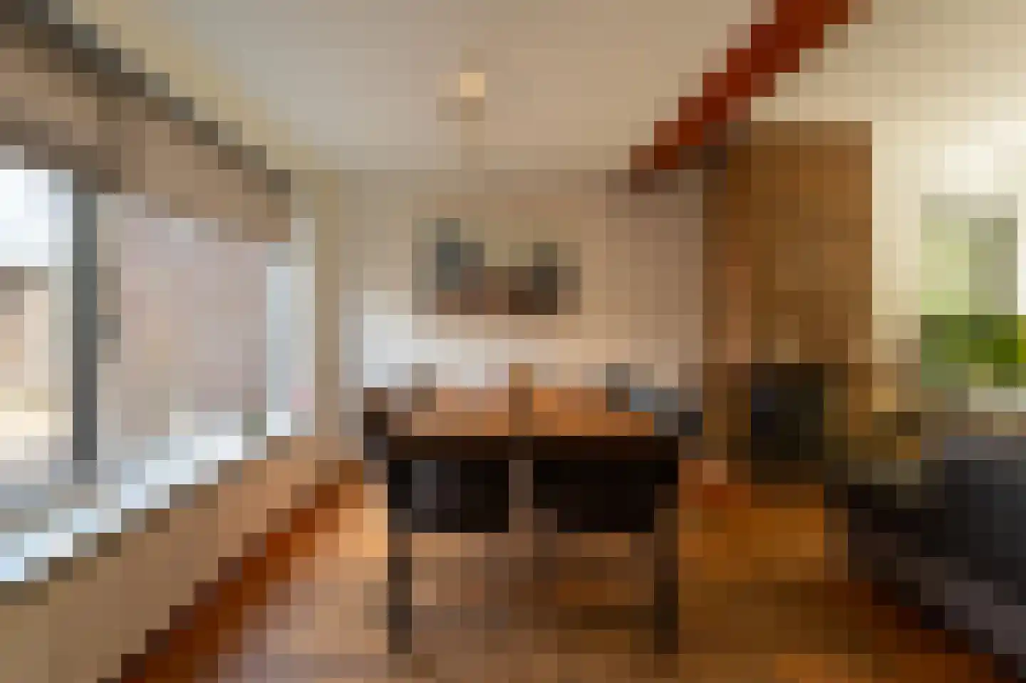 Parallelstraat 11 Lemelerveld thumbnail 13