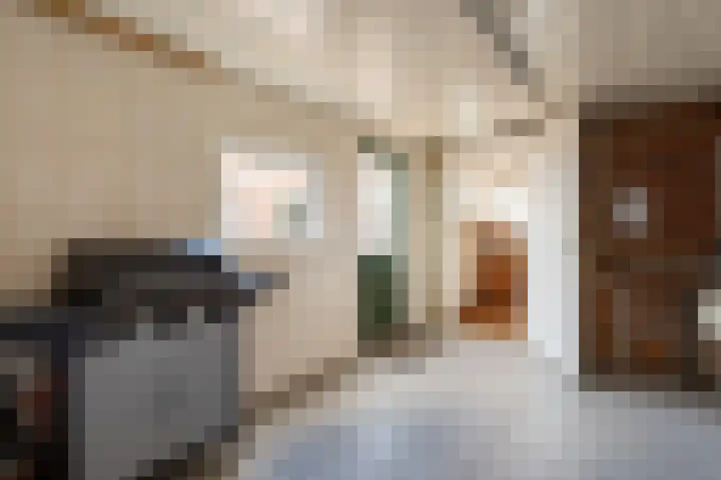 Parallelstraat 11 Lemelerveld thumbnail 36