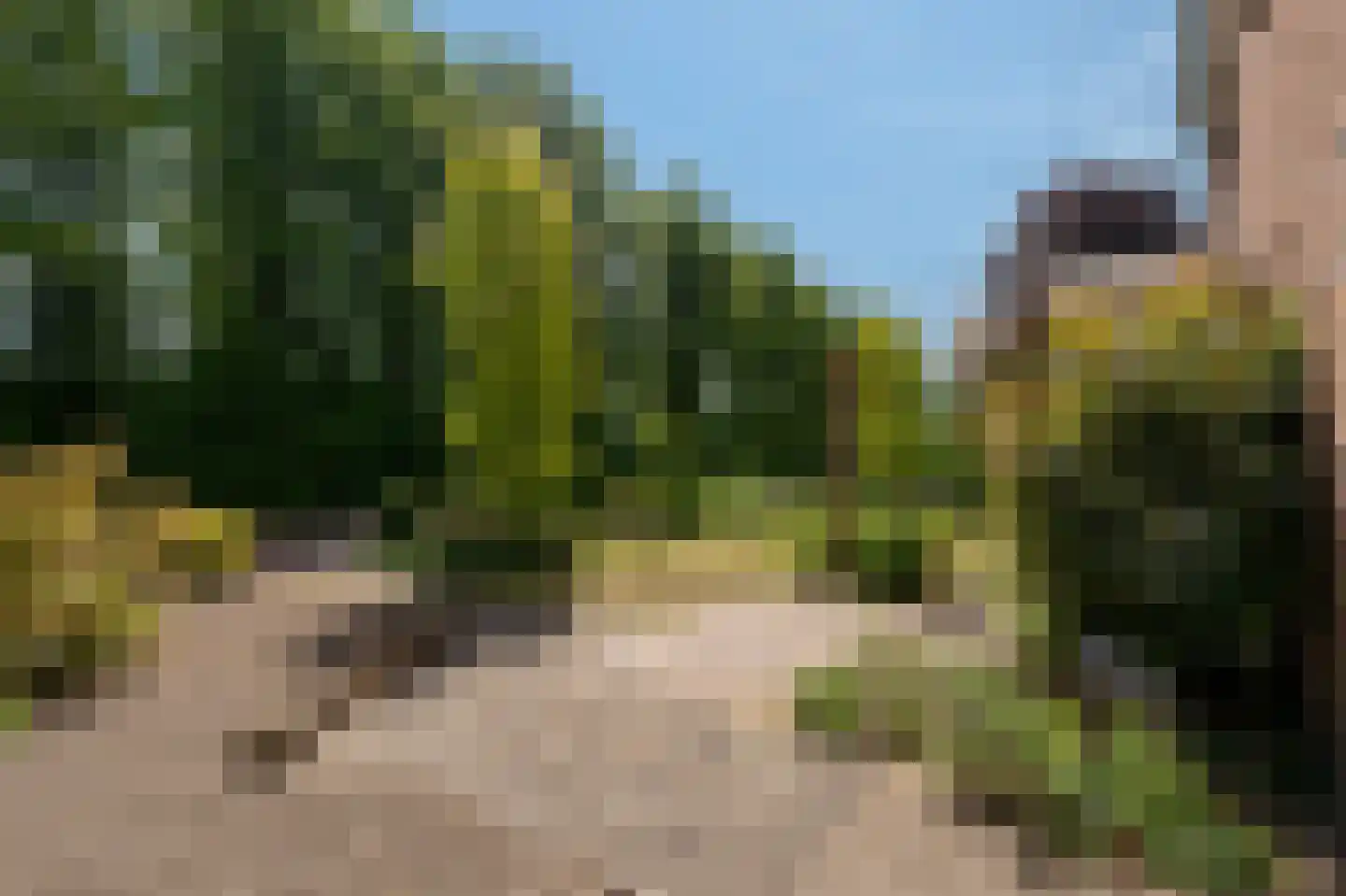 Parallelstraat 11 Lemelerveld thumbnail 4
