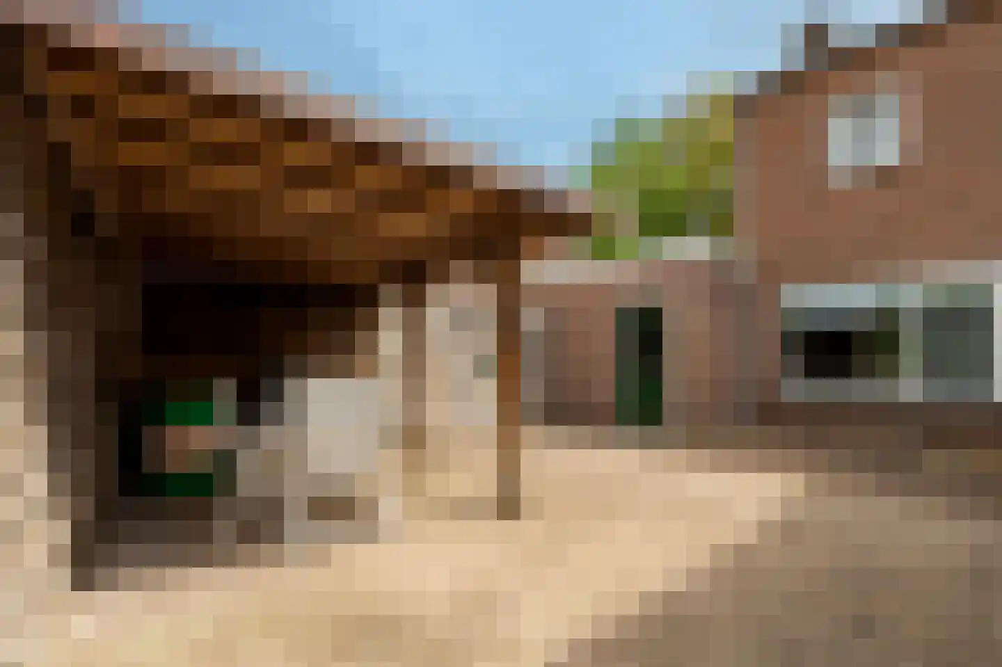 Parallelstraat 11 Lemelerveld thumbnail 41