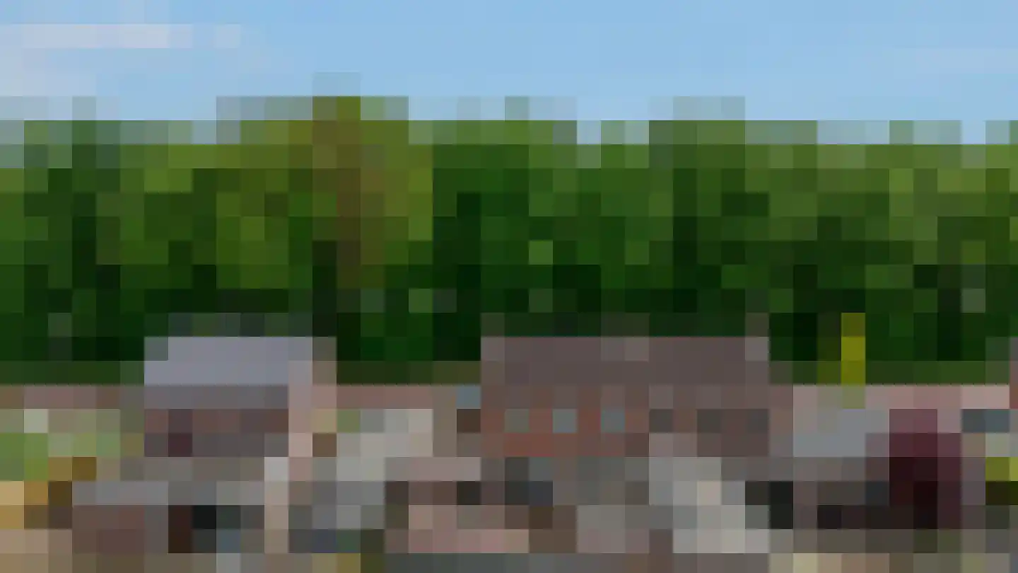 Parallelstraat 11 Lemelerveld thumbnail 48