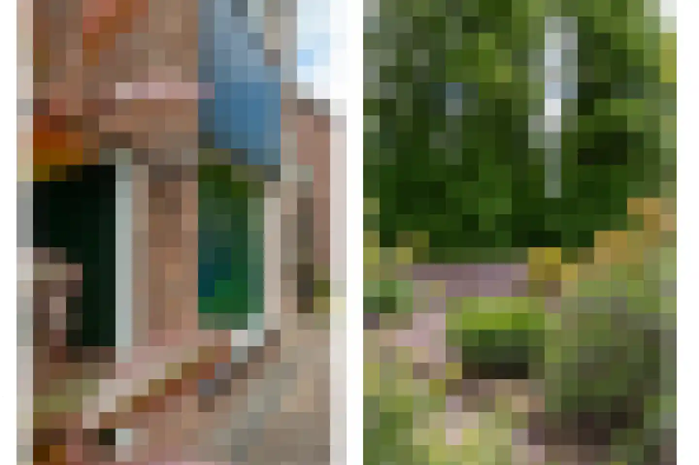 Parallelstraat 11 Lemelerveld thumbnail 7