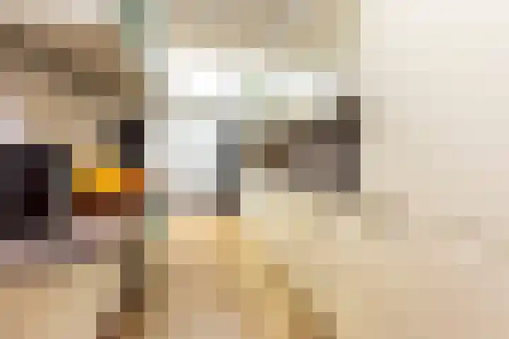 Parallelstraat 22 Rhoon thumbnail 17