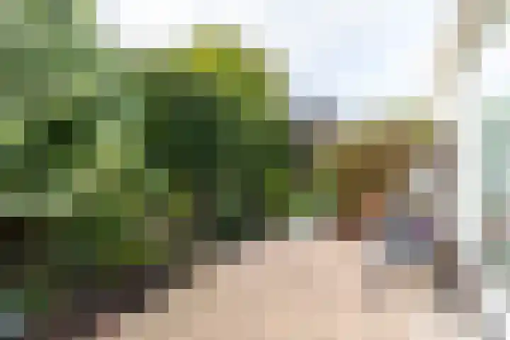 Parallelstraat 22 Rhoon thumbnail 35