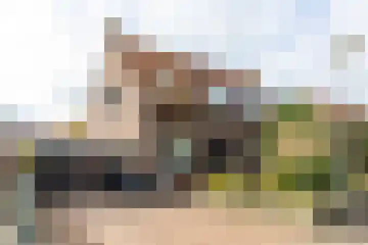 Parallelstraat 22 Rhoon thumbnail 42