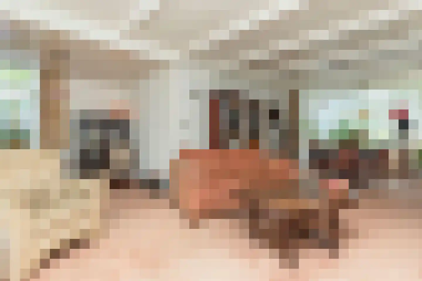 Parallelstraat 27 Rhoon thumbnail 12