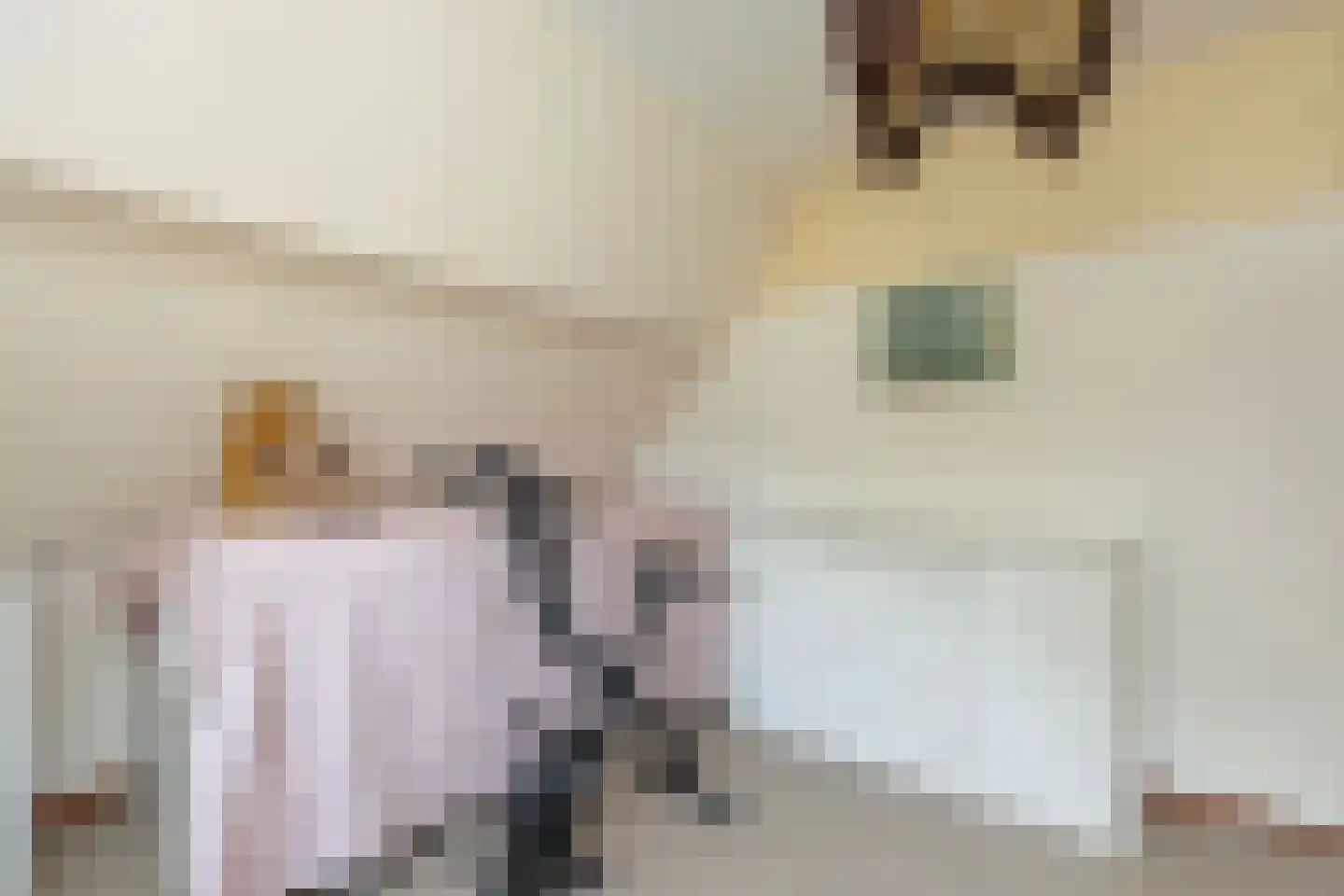Parallelstraat 27 Rhoon thumbnail 32