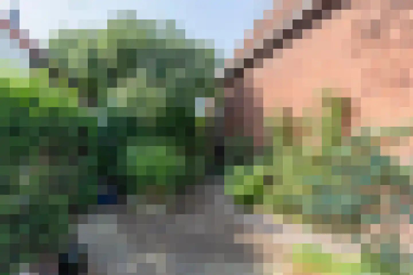Parallelstraat 27 Rhoon thumbnail 44