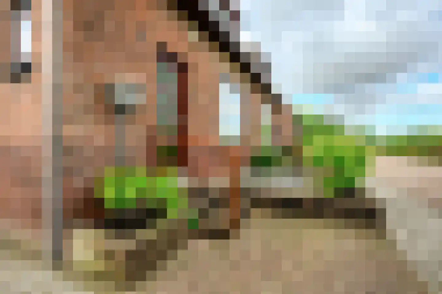Parallelstraat 32 Rhoon thumbnail 10