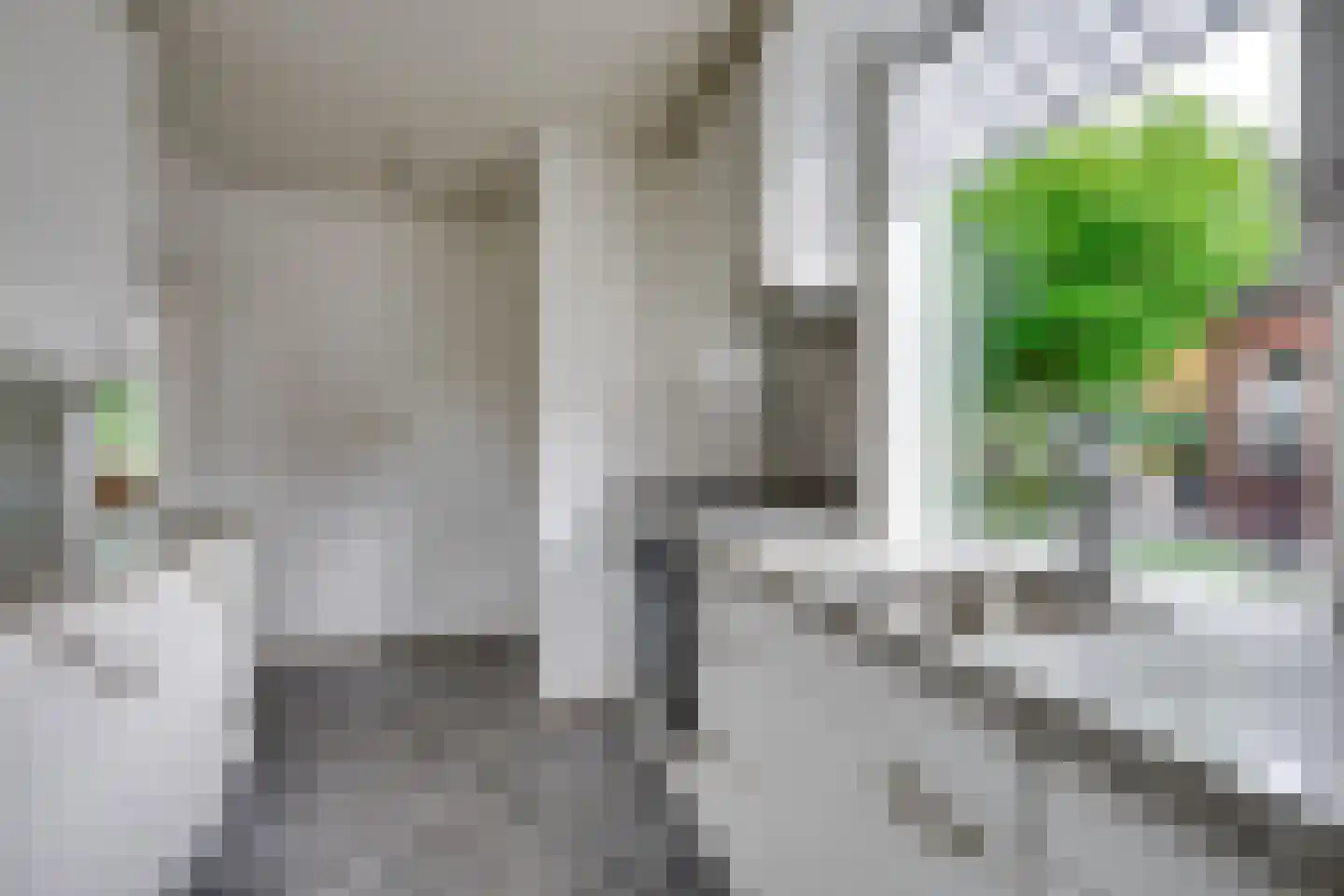 Parallelstraat 32 Rhoon thumbnail 17