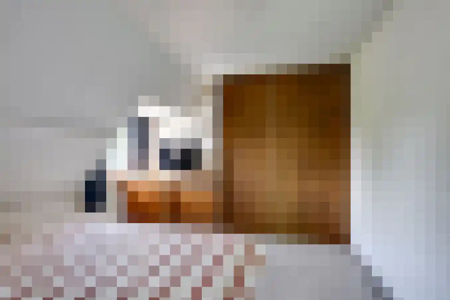 Parallelstraat 32 Rhoon thumbnail 22