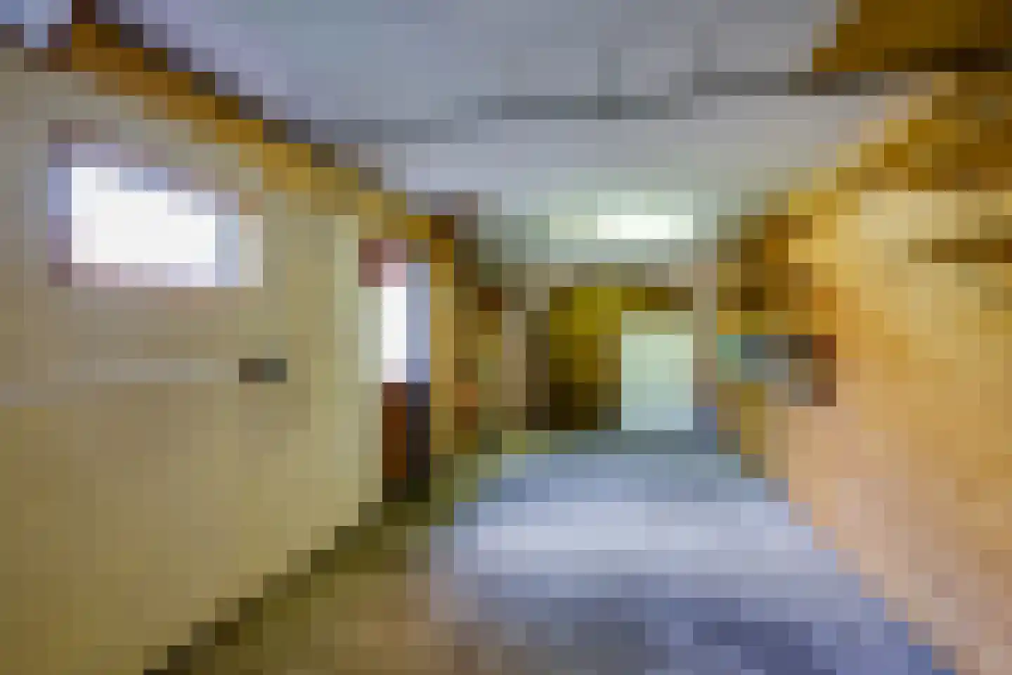 Parallelstraat 32 Rhoon thumbnail 51