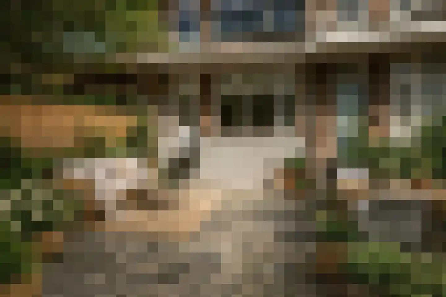 Parallelstraat 65 B Rotterdam thumbnail 14