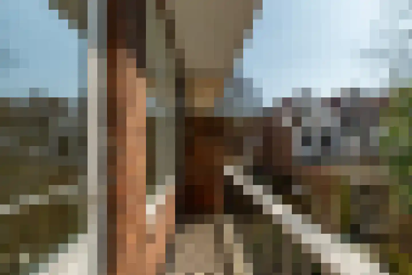 Parallelstraat 65 B Rotterdam thumbnail 15