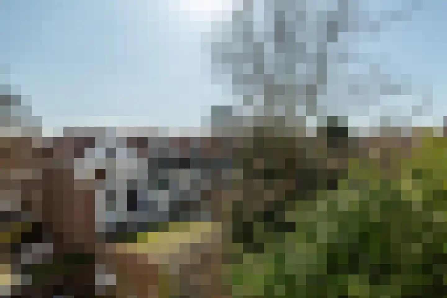 Parallelstraat 65 B Rotterdam thumbnail 18