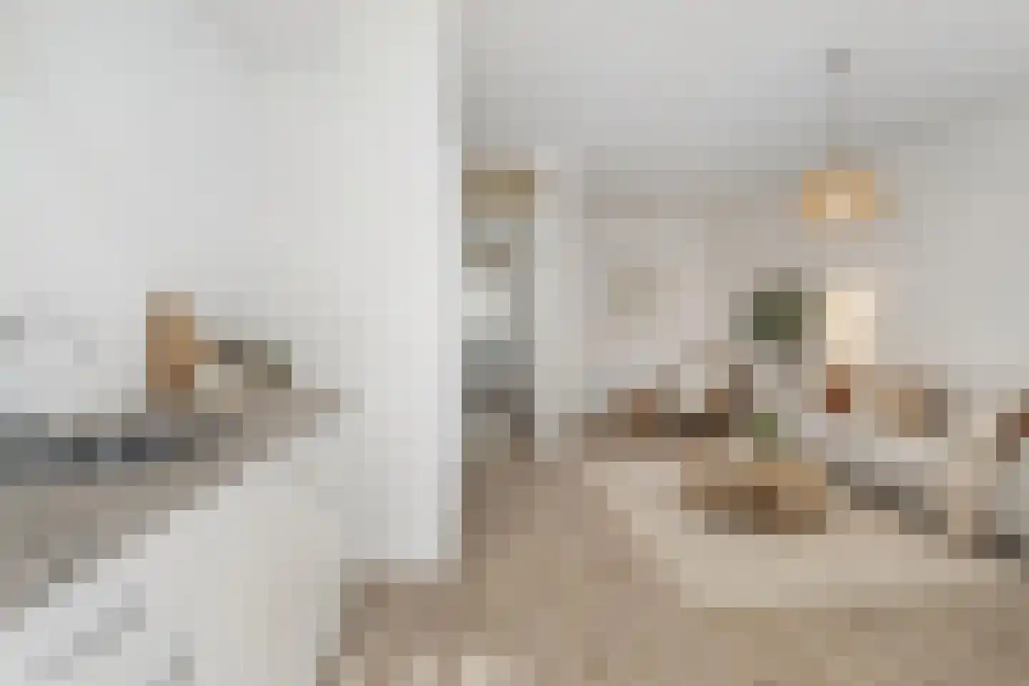 Parallelstraat 65 B Rotterdam thumbnail 7