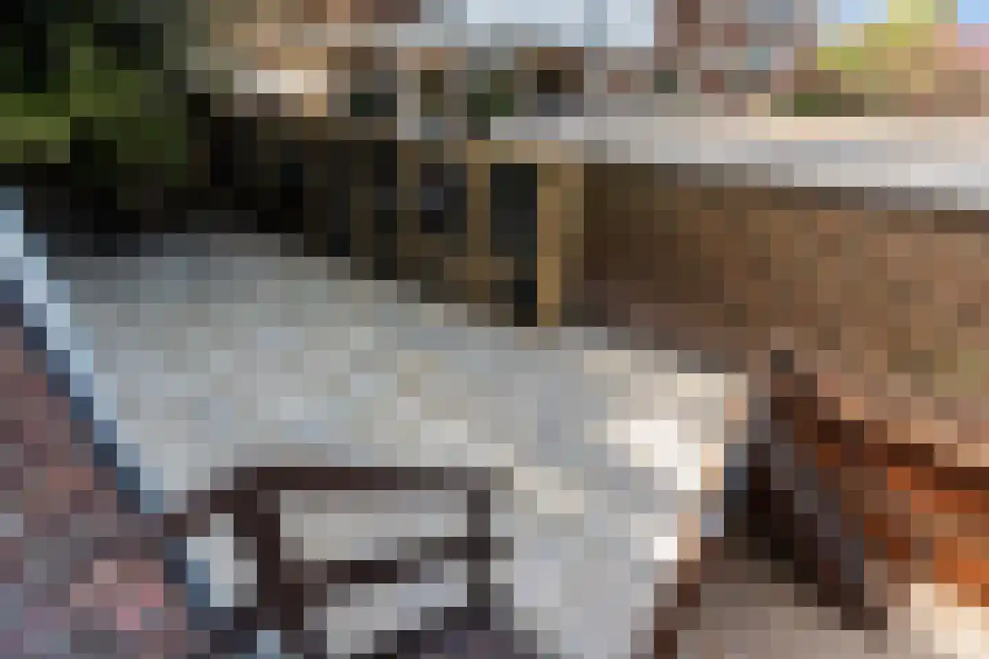 Parallelstraat 73 A Rotterdam thumbnail 20