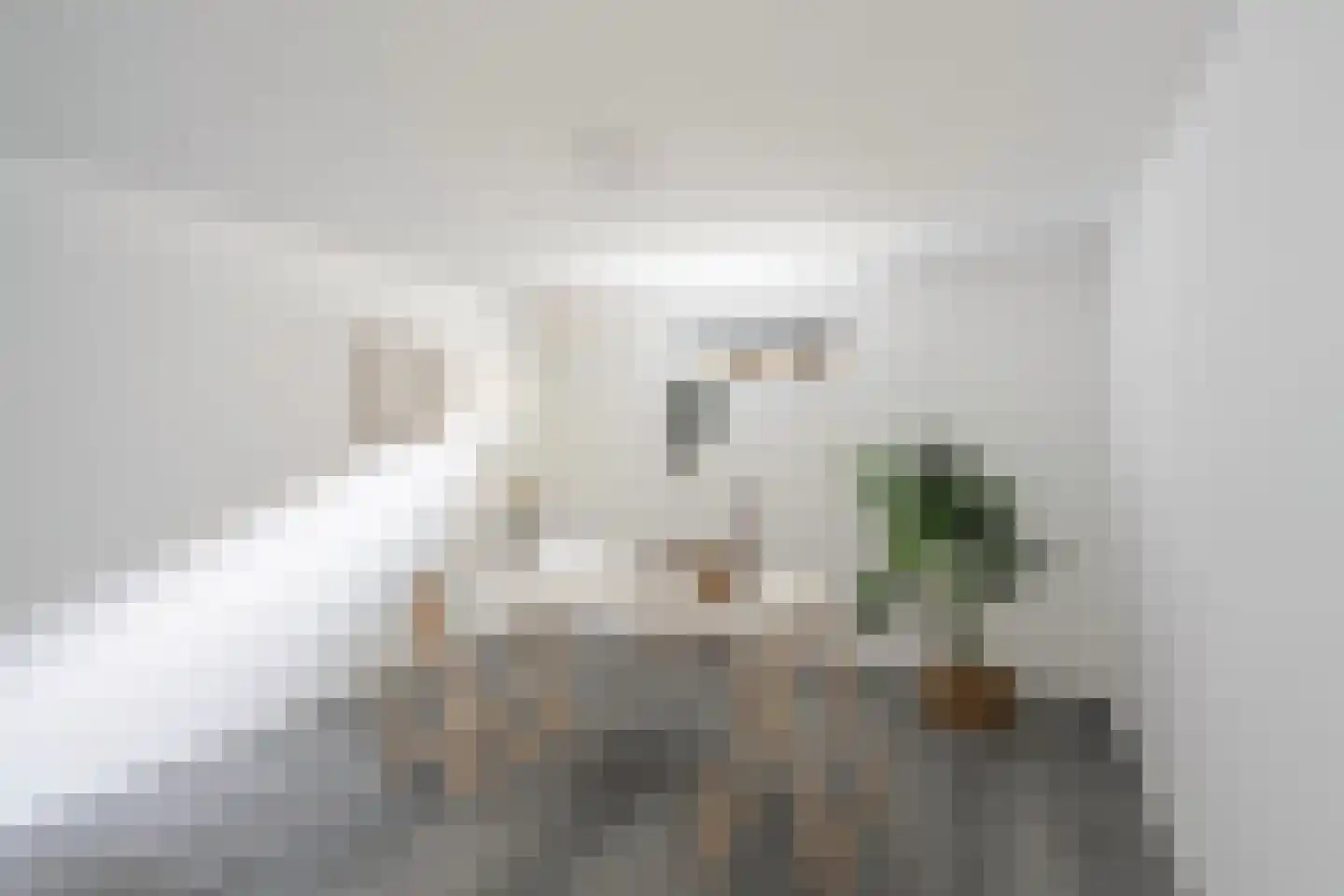 Parallelstraat 73 A Rotterdam thumbnail 33