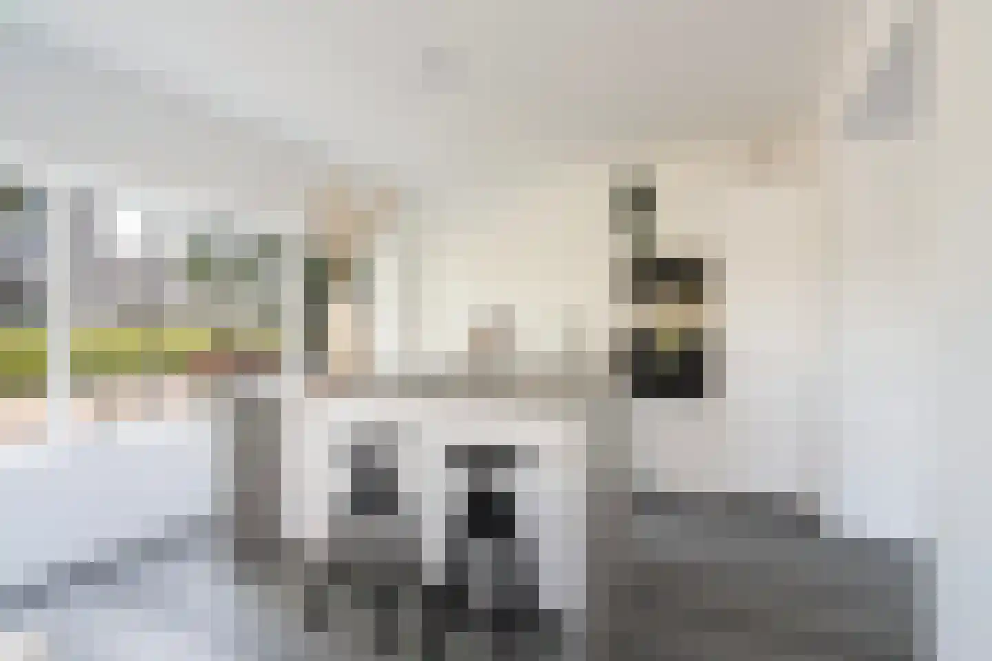 Parallelstraat 73 A Rotterdam thumbnail 4