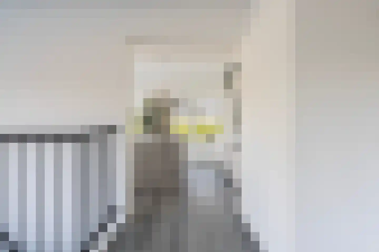 Parallelstraat 73 B Rotterdam thumbnail 11