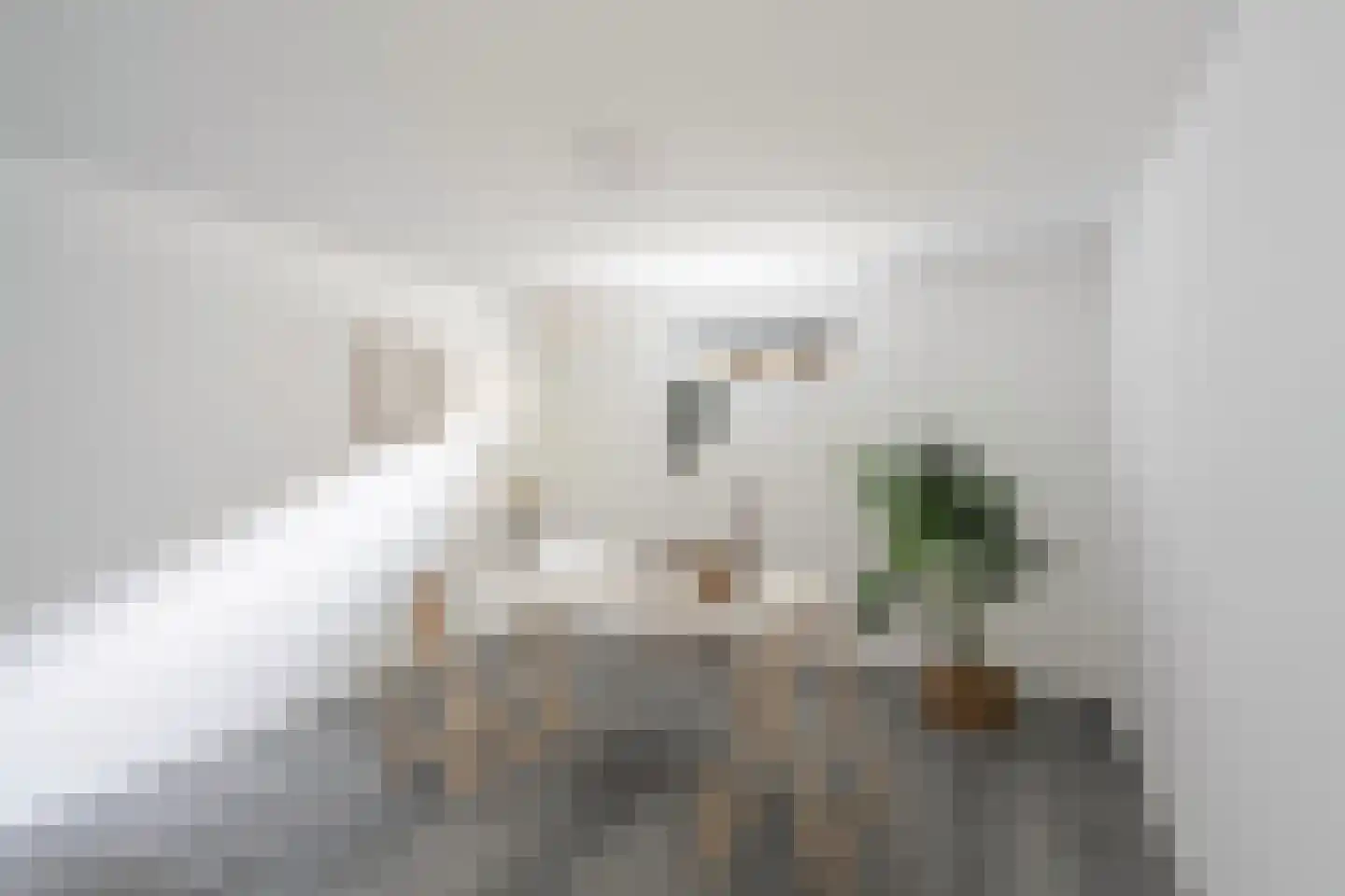 Parallelstraat 73 B Rotterdam thumbnail 32