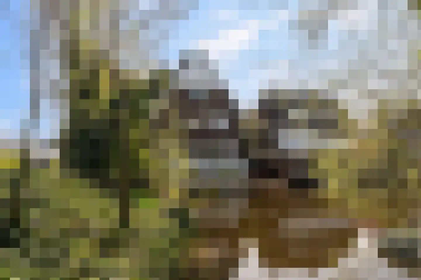 Parallelstraat 73 B Rotterdam thumbnail 7