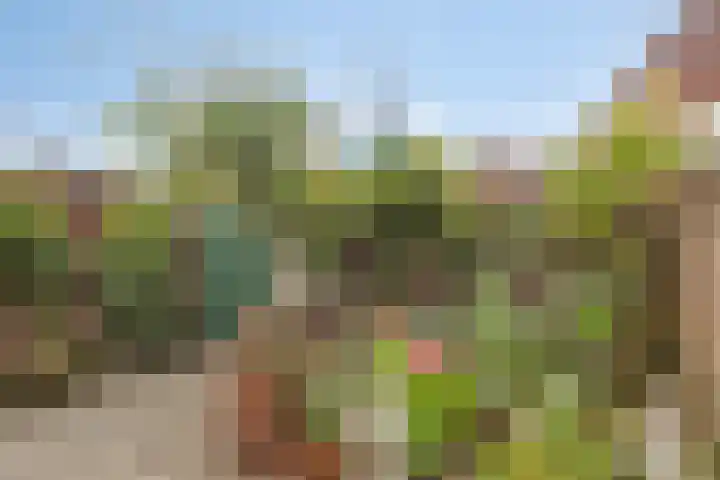 Parallelstraat 9 Kampen thumbnail 25