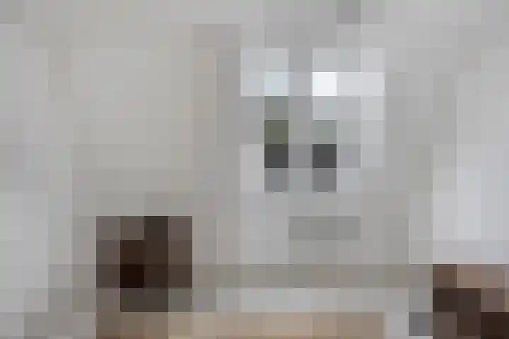 Parallelstraat 9 Kampen thumbnail 4