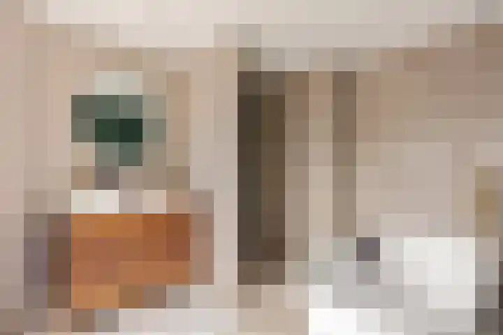 Parallelstraat 90 Oldenzaal thumbnail 16