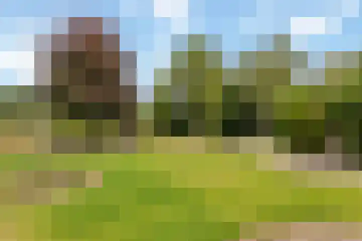 Parallelstraat 90 Oldenzaal thumbnail 21