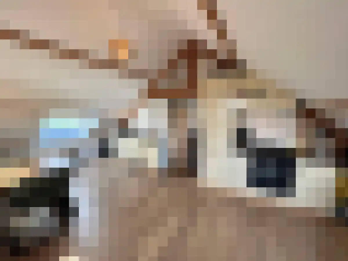 Parallelweg 1 Bunnik thumbnail 4