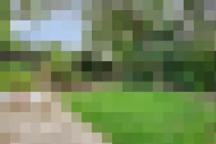 Parallelweg 1 Halsteren thumbnail 18
