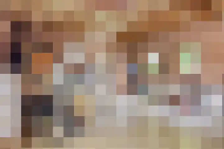 Parallelweg 1 Halsteren thumbnail 21