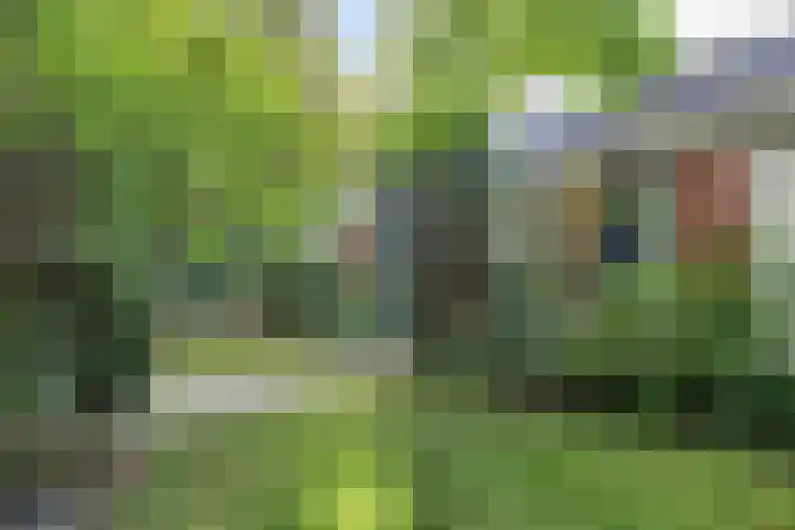Parallelweg 1 Halsteren thumbnail 23