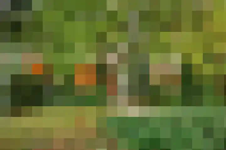 Parallelweg 1 Halsteren thumbnail 24