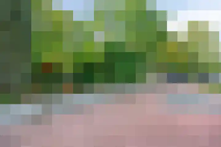 Parallelweg 1 Halsteren thumbnail 27