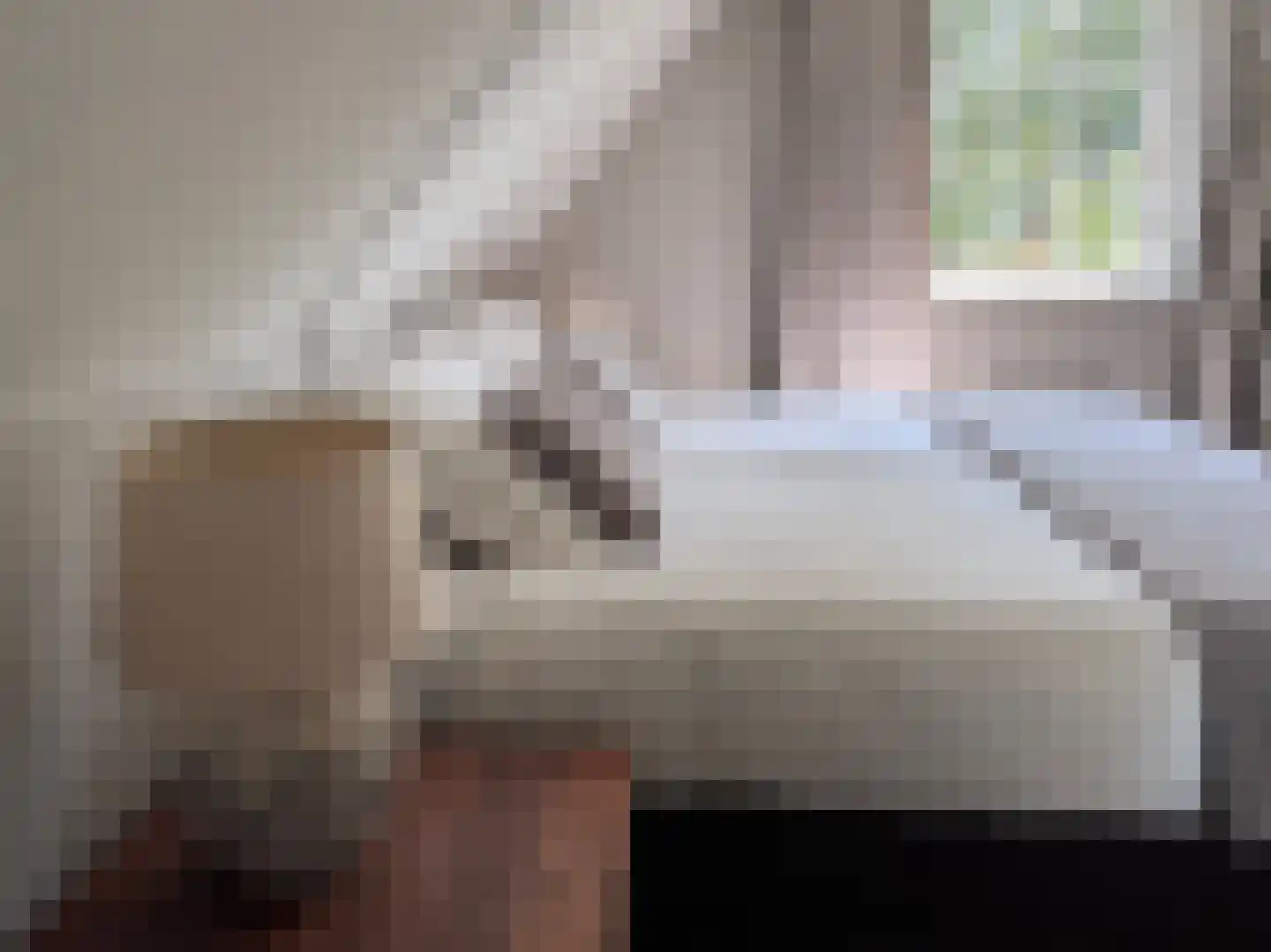 Parallelweg 10 52 Lievelde thumbnail 17