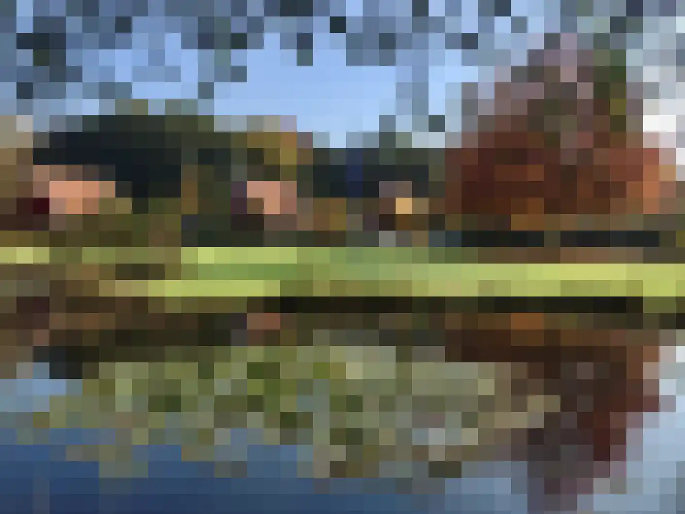 Parallelweg 10 52 Lievelde thumbnail 31